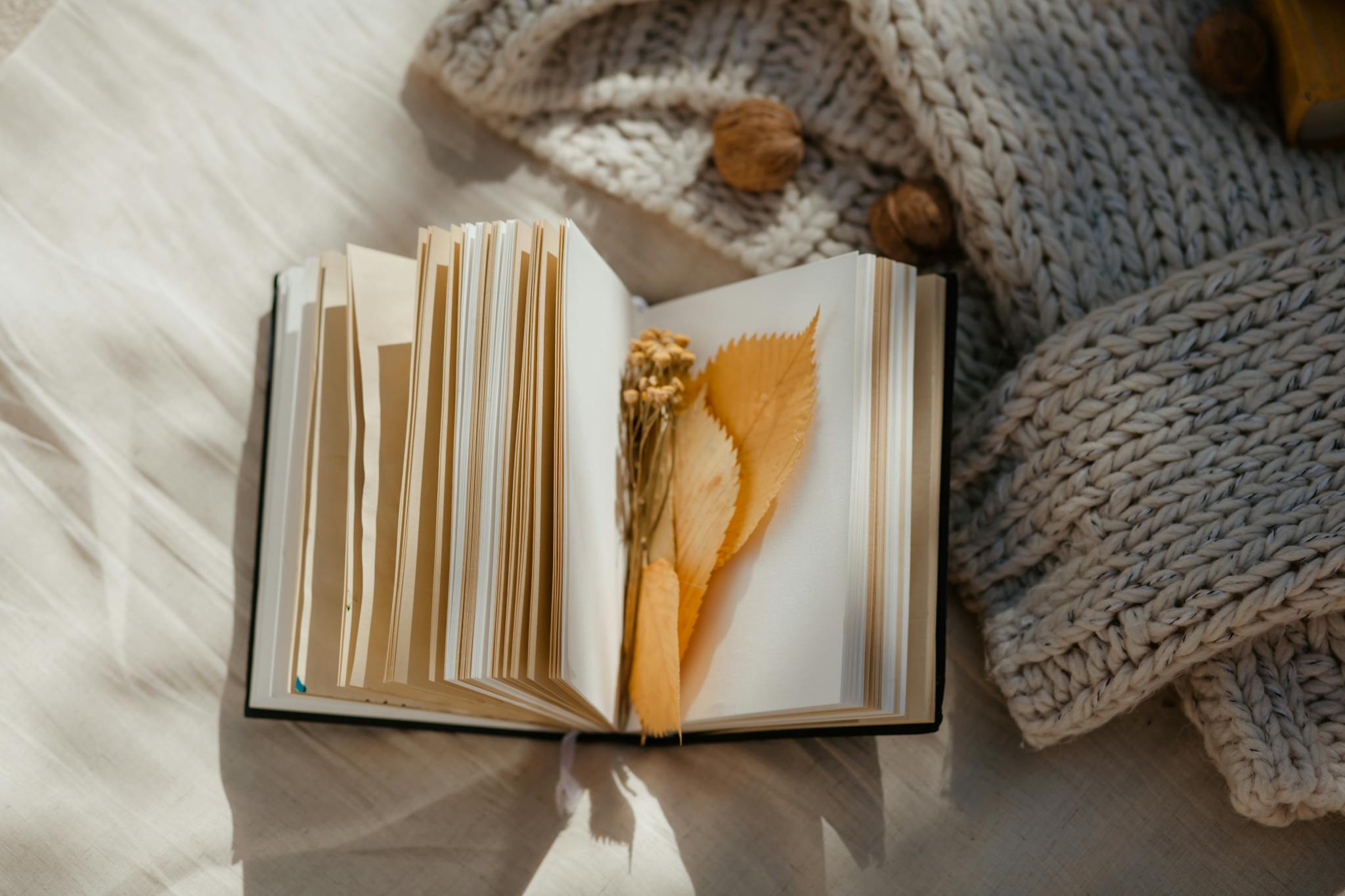 Open book with autumn leaves and cozy knit, evoking a warm, rustic vibe. Perfect for fall-themed content.